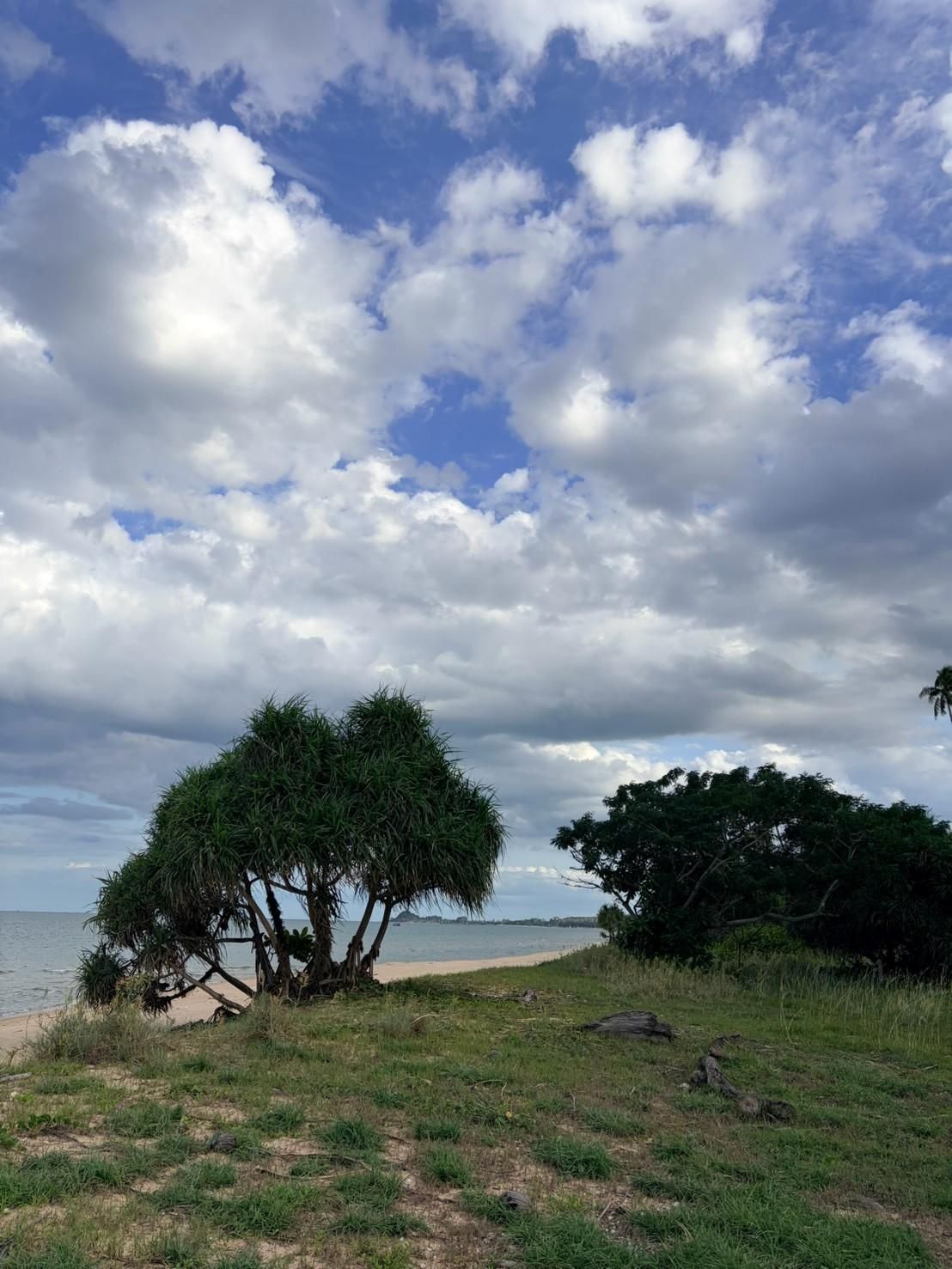 Sichon Beach site: Pandanus and shade tree on grass above beach