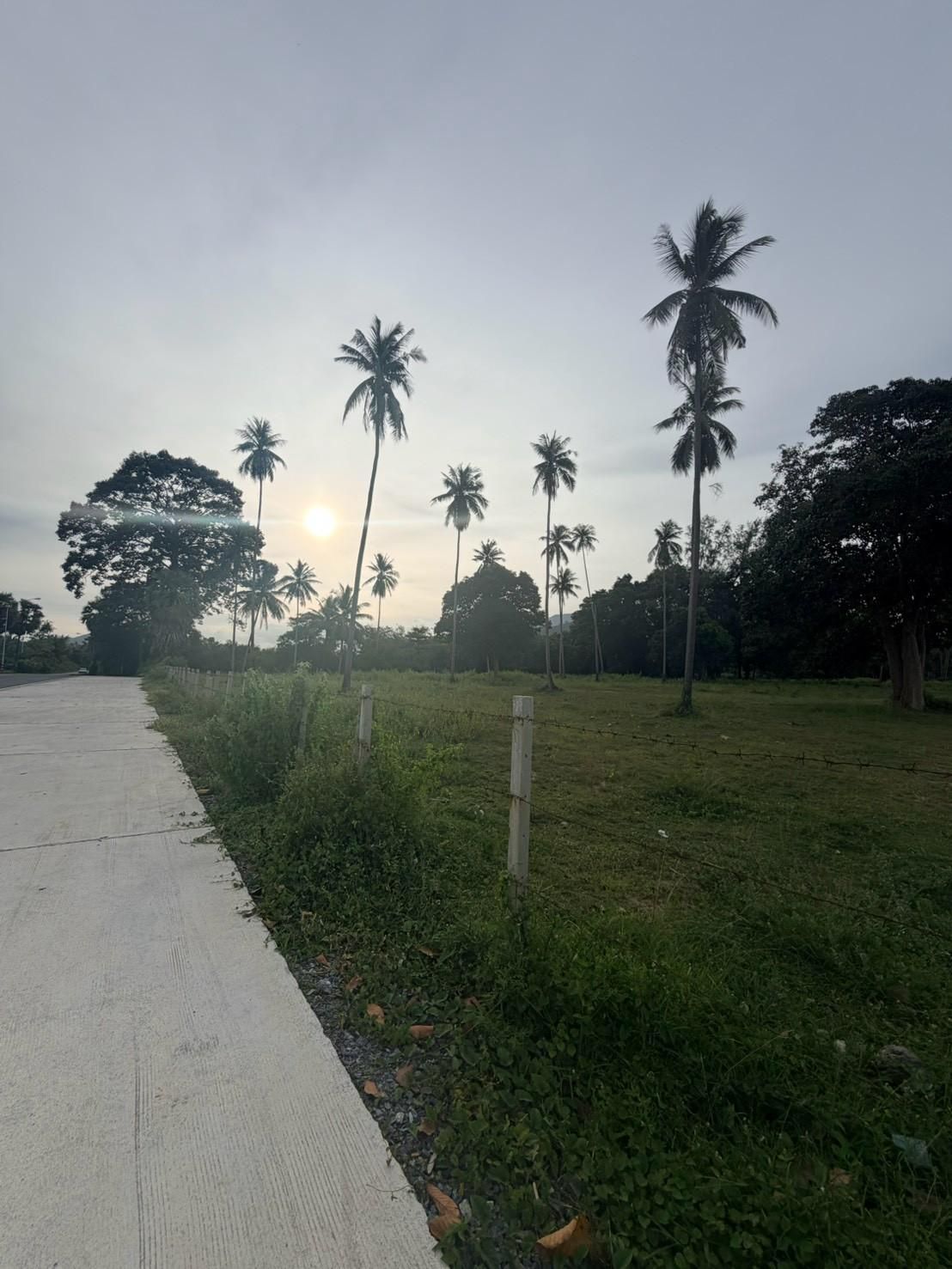 Sichon Beach site: Concrete access road to site