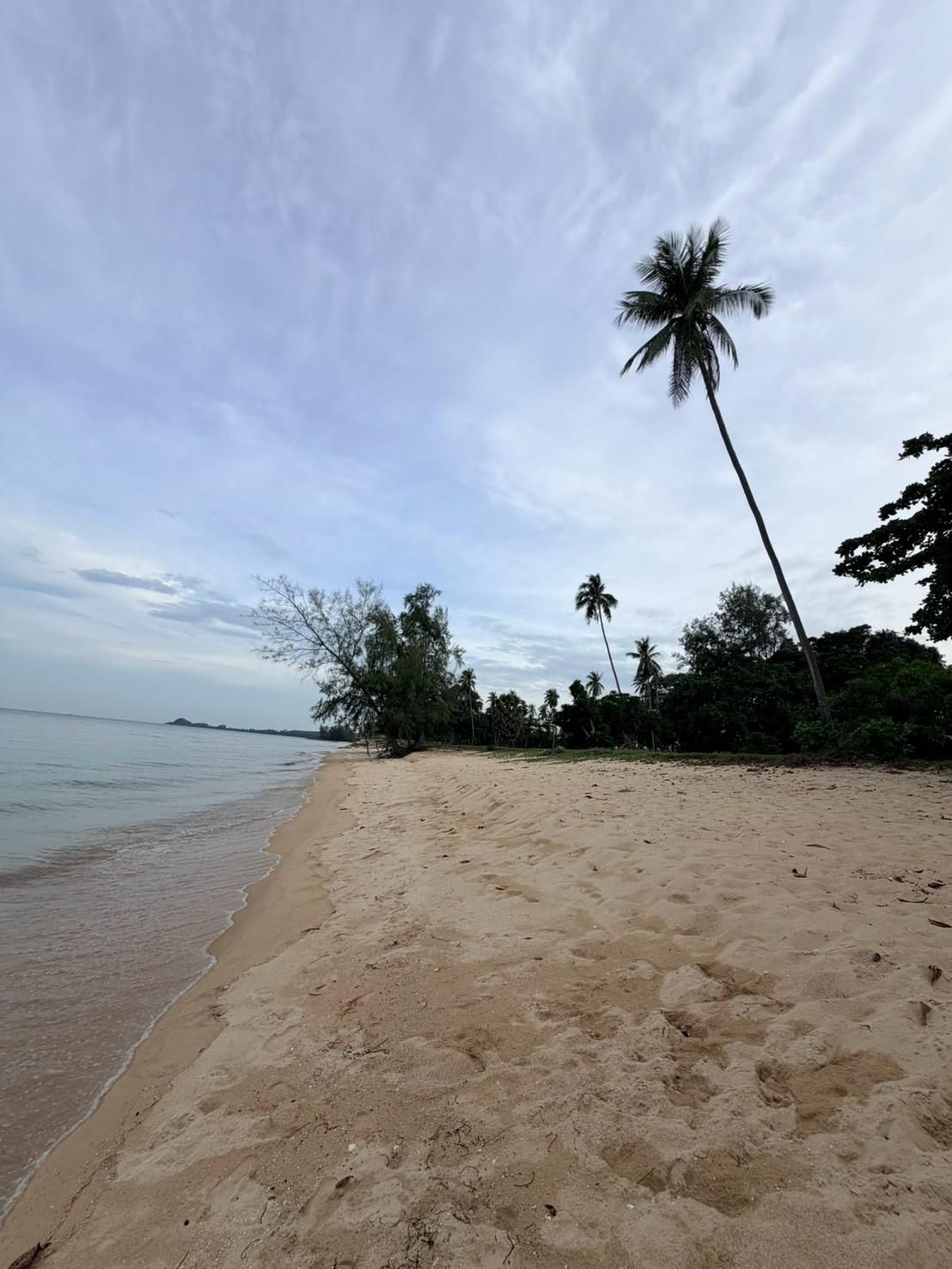 Sichon Beach site: Leaning palm on beach toward headland