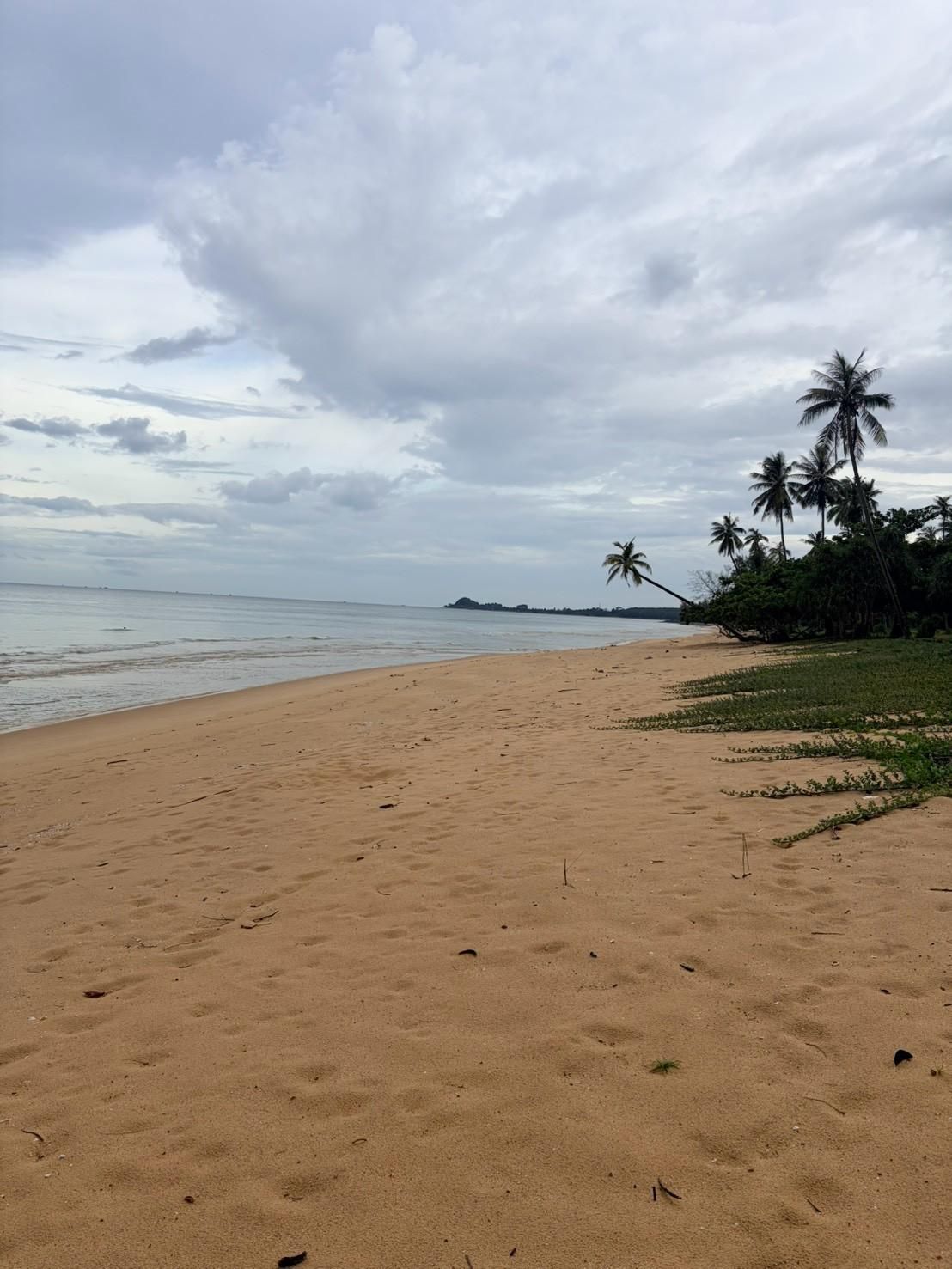 Sichon Beach site: Broad sand beach and treeline