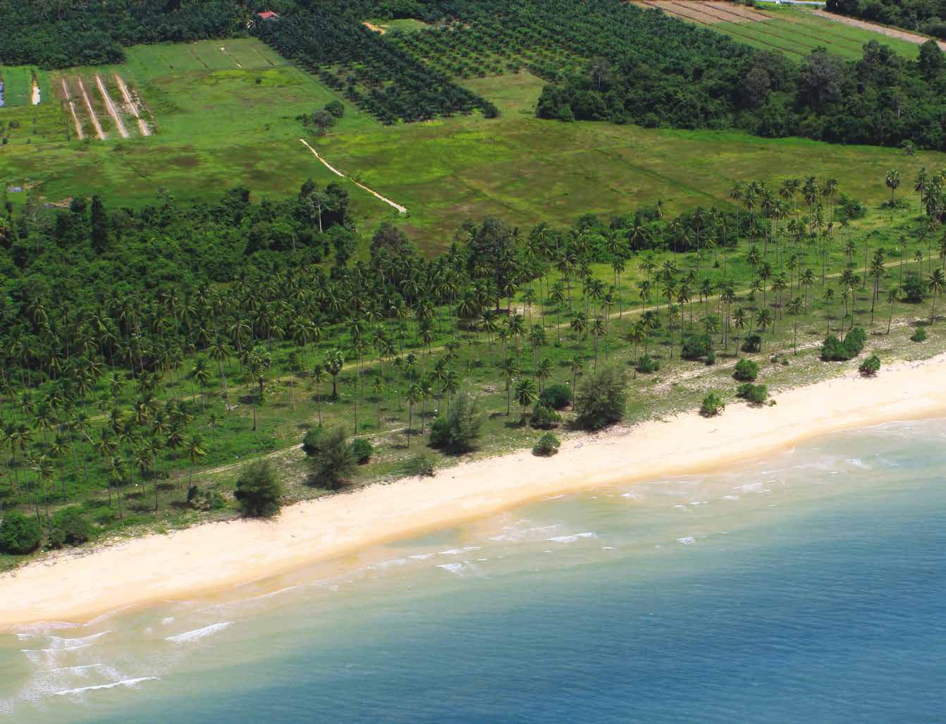 Aerial view of the Sichon beachfront site: sand, coconut groves and open grassland along the Gulf of Thailand