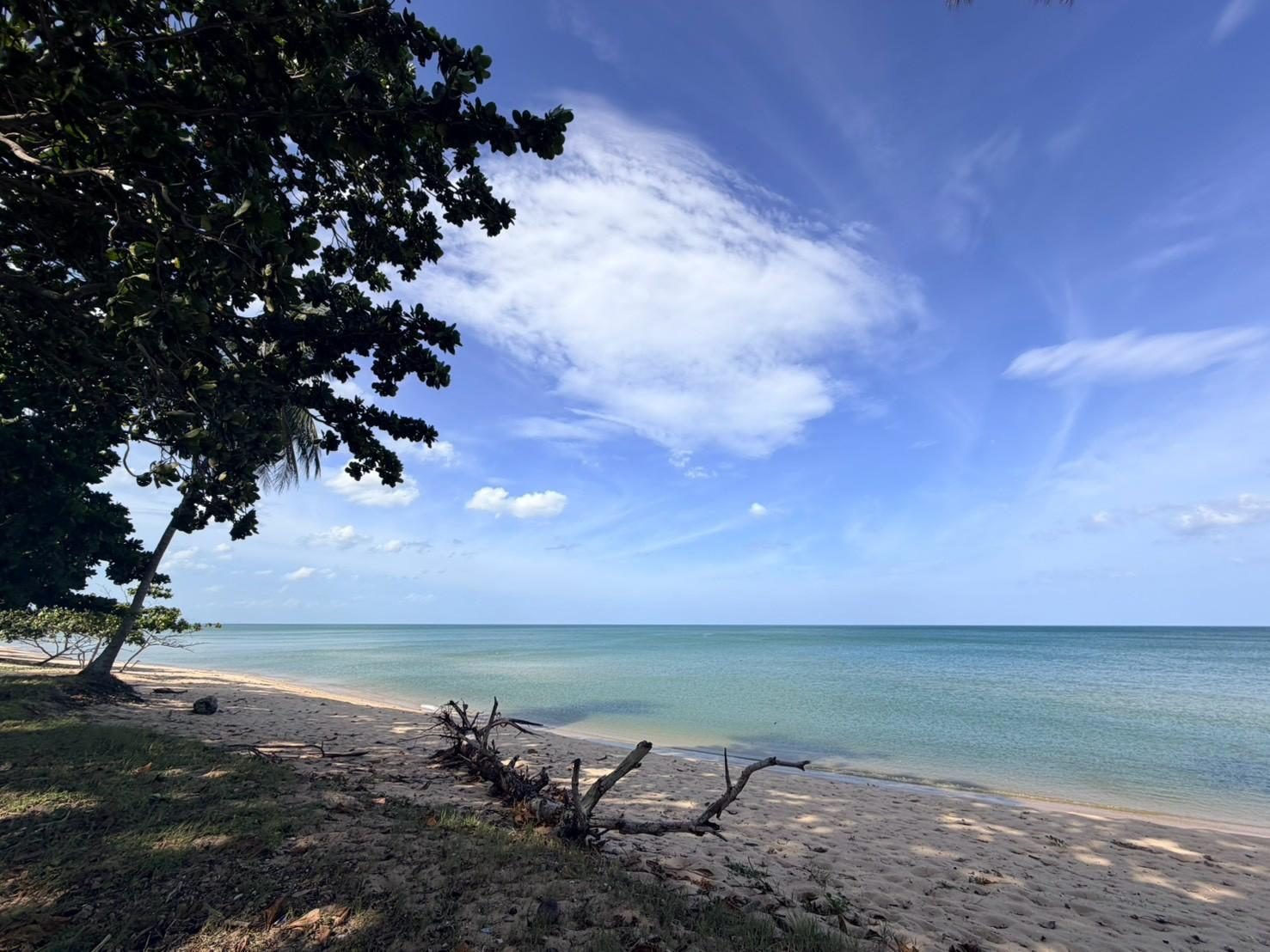 Shade tree over driftwood on the beach at Sichon
