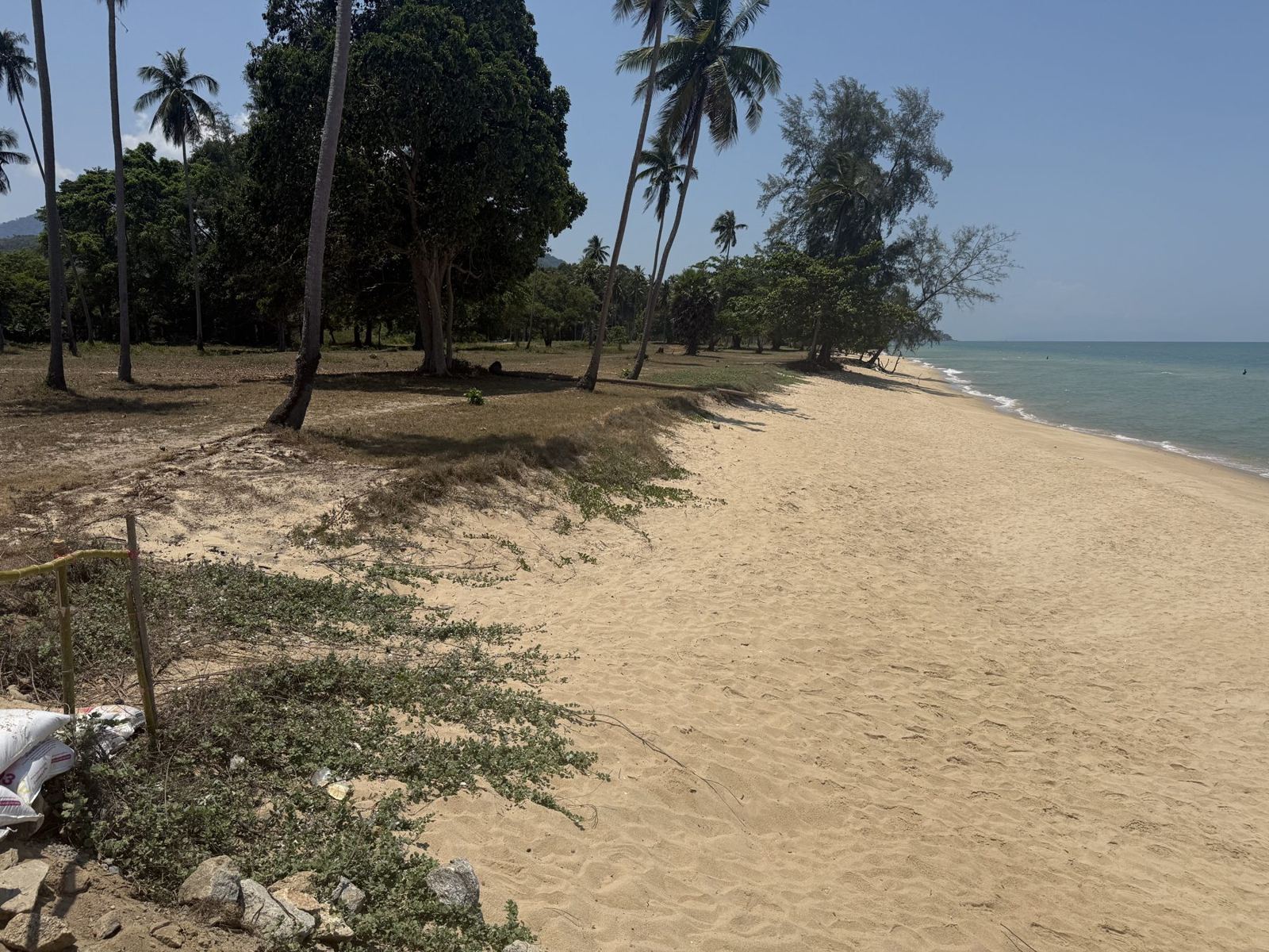 Beach and coconut palms at Sichon, Gulf of Thailand