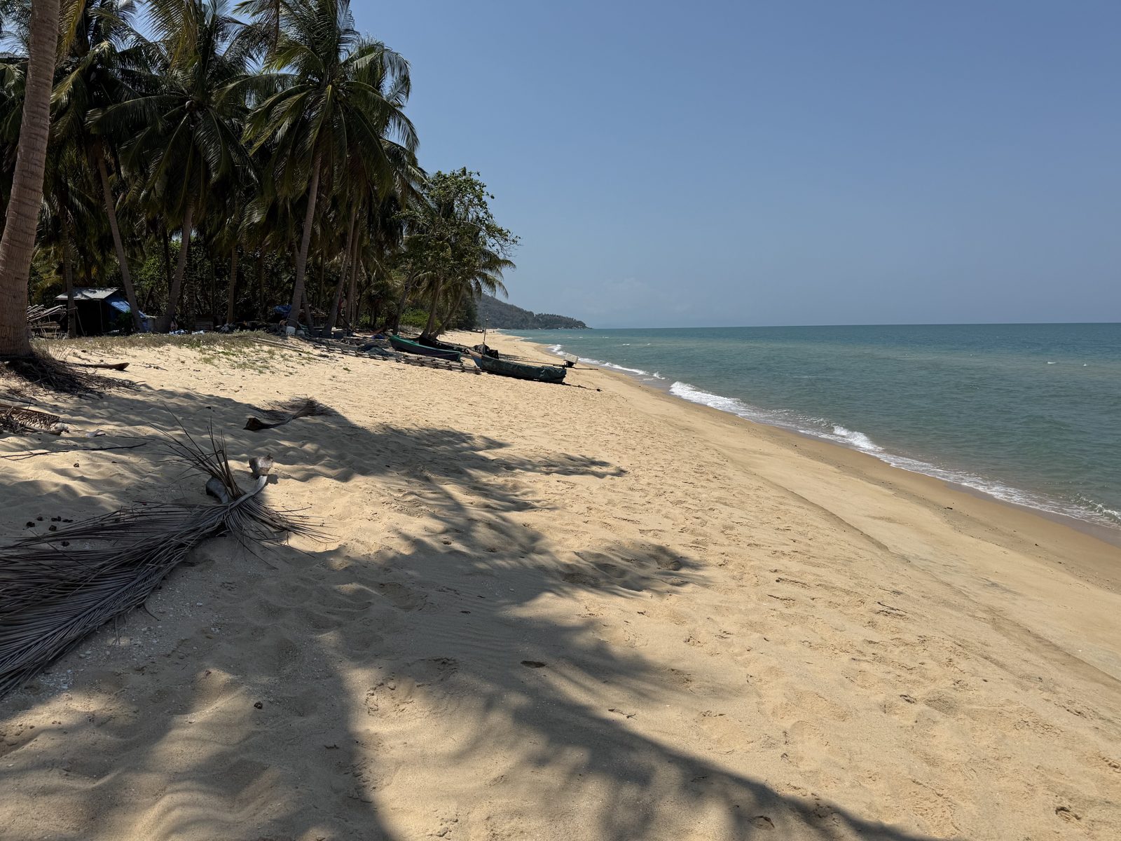 Palm-lined beach at Sichon